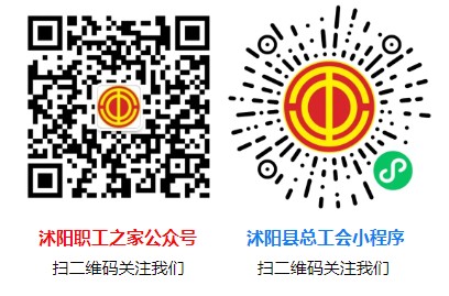 如何使用专业设备进行高效的篮板训练?_2